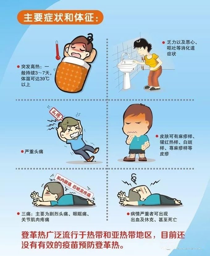 登革热有多可怕?来泰国旅行你一定要知道的知识! 登革热症状.jpg