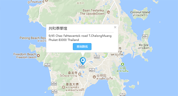 共和泰拳馆--拳王代言泰拳馆.png