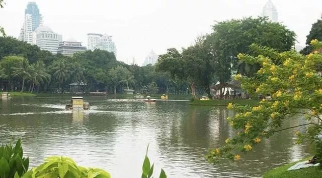 NOXA小编整理泰国曼谷著名景点之蓝吡尼公园门票及交通攻略 2.jpg