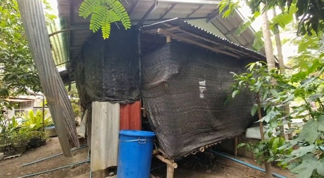感人泪下!泰国11岁小男孩靠收集废品独自赡养残疾母亲