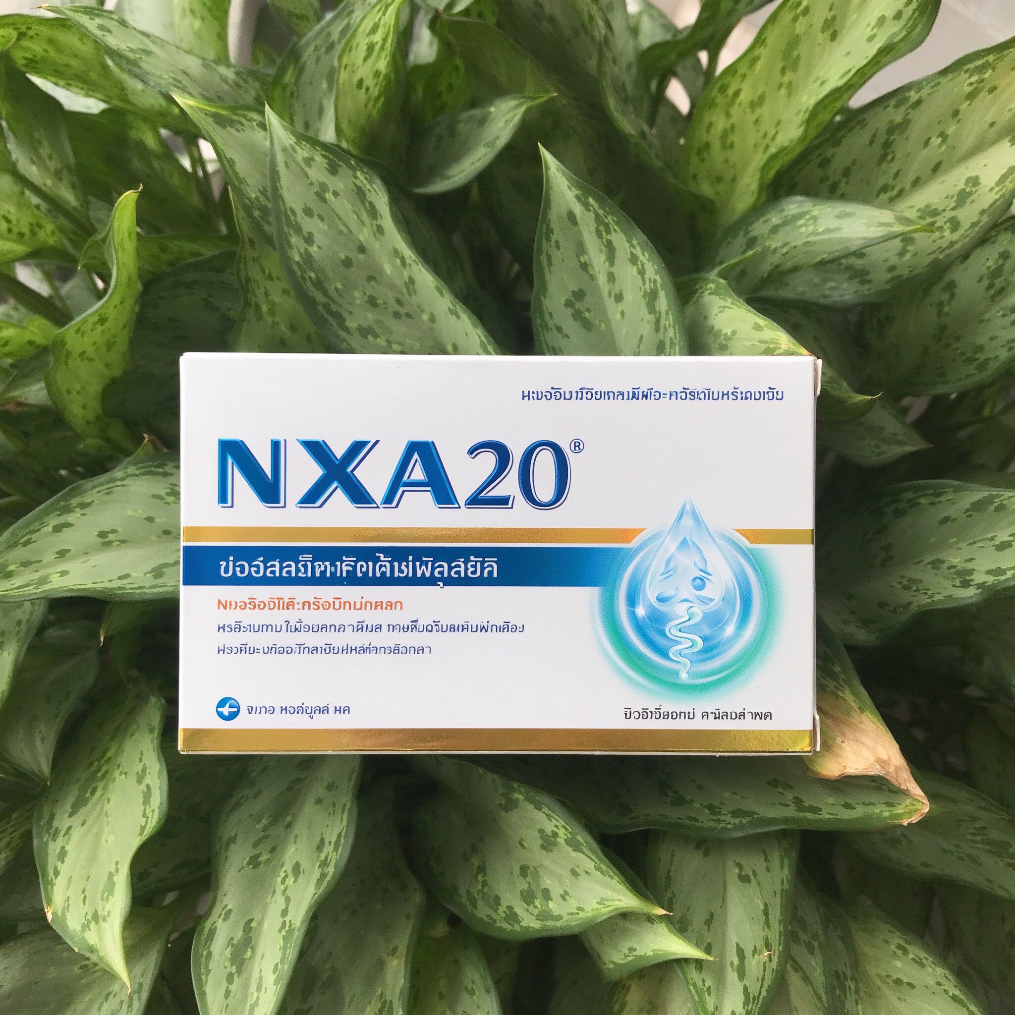 NOXA20娜莎20号完整用户手册：从服用到管理