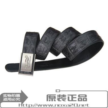 泰国正宗男士鳄鱼皮单骨皮带 真皮皮带 平滑扣皮带